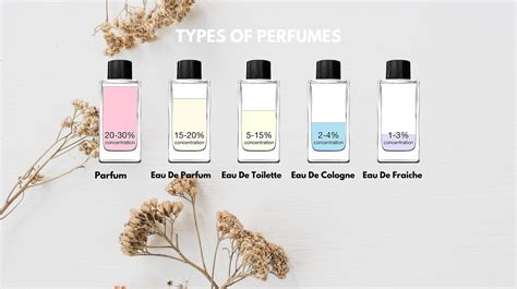 perfume guide for beginners